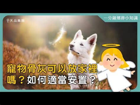 貓咪骨灰可以放家裡嗎|寵物骨灰放家裡好嗎？如何適當安置？完整釋疑一次看。